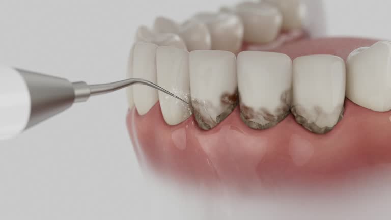 Reliable Dental contractor in Thornton, CO by Dentist Open Now